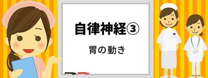 胃の動き"