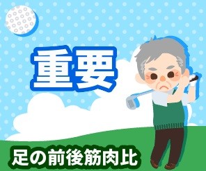 足の筋肉前後比