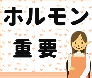 ホルモンバランス