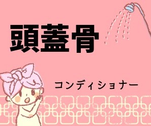 頭蓋骨コンディショナー