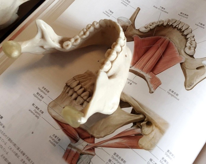 顎関節症の専門知識